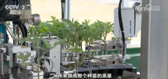 无人机逃肥、滴灌设备、机械人嫁接种苗……从